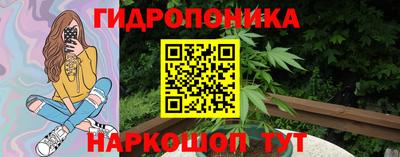 PSILOCYBIN Гай