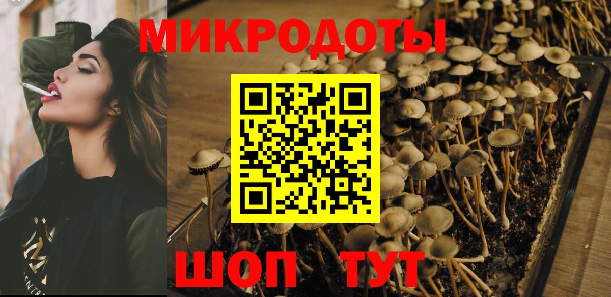 Псилоцибиновые грибы Cubensis  Вход с VPN  что такое наркотик  Псилоцибиновые грибы Cubensis  Крымск 