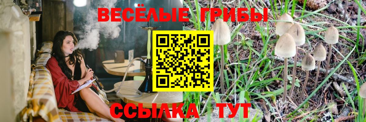 Псилоцибиновые грибы мицелий Крымск
